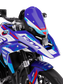 BMW R 1300 GS 2023-2025 München Graphics Kit
