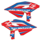 Radiator Shroud Graphics Kit - Fits Beta RR X-PRO RX 2T 250 350 RX 4T 450