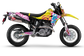 Suzuki DR-Z4S & SM 2025 Nagoya Graphics Kit