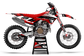 Ducati Venezia Graphics Kit - Desmo 250 MX 450 MX